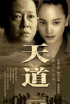 中国大陆经典电视剧《天道》（2008年）4K超高清修复无删减版  爱情  [夸克网盘] 王志文