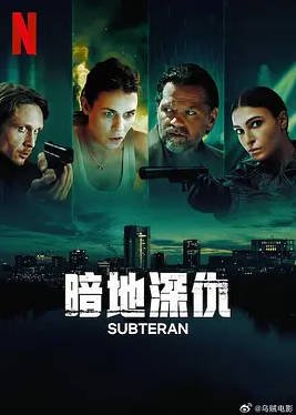 罗马尼亚电视剧《暗地深仇》（2025年）犯罪 [夸克网盘]
