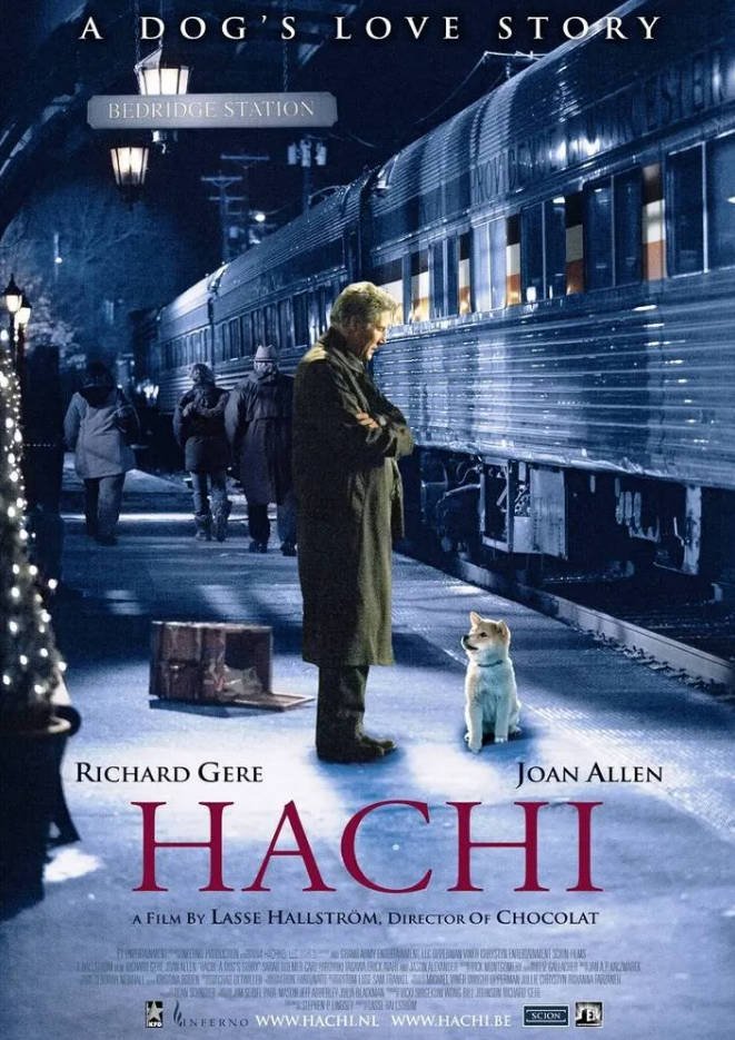 美国高分电影《忠犬八公的故事》 [2009] 夸克网盘