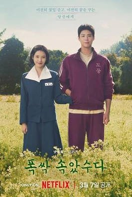 韩国电视剧《苦尽柑来遇见你》 [2025] 爱情 历史 夸克网盘