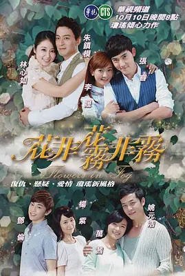 [中国大陆电视剧]《花非花雾非雾》（2013） 爱情 豆瓣5.7 [夸克网盘]