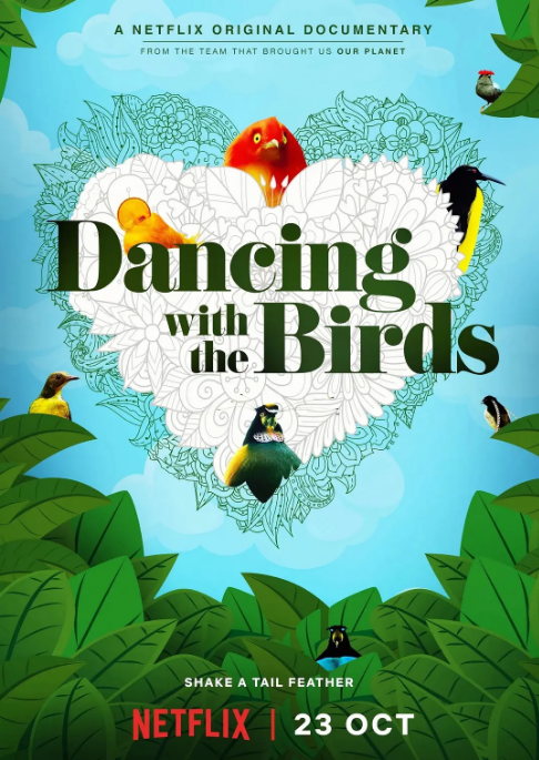 美国纪录片《与鸟共舞》（2019）豆瓣9.4[夸克网盘]