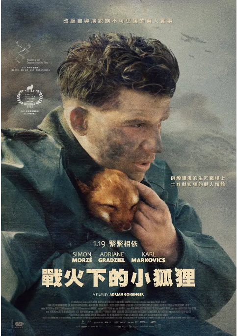 德国电影《战火中的小狐狸》（2022） 历史 / 战争 豆瓣7.3  [夸克网盘]