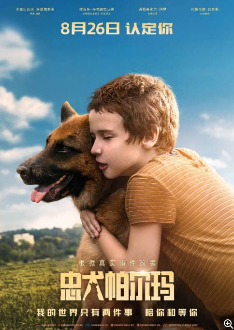 俄罗斯电影《忠犬帕尔玛》 (2021)  俄语中字 豆瓣8.8 家庭  [夸克网盘]
