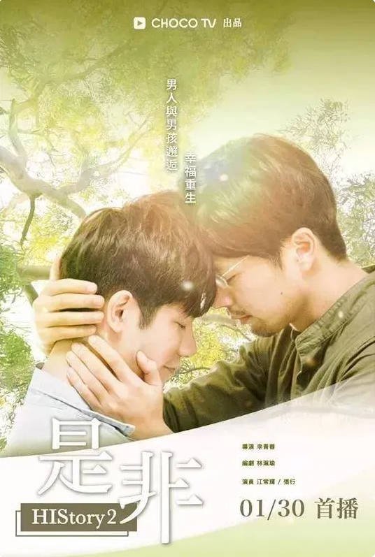 中国台湾电视剧《是非》(2018) [爱情/同性/家庭] 汉语普通话7.6分[夸克网盘]