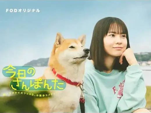 日本电视剧《今日份的散步 今日のんた》(2025)豆瓣6.8分[夸克网盘]